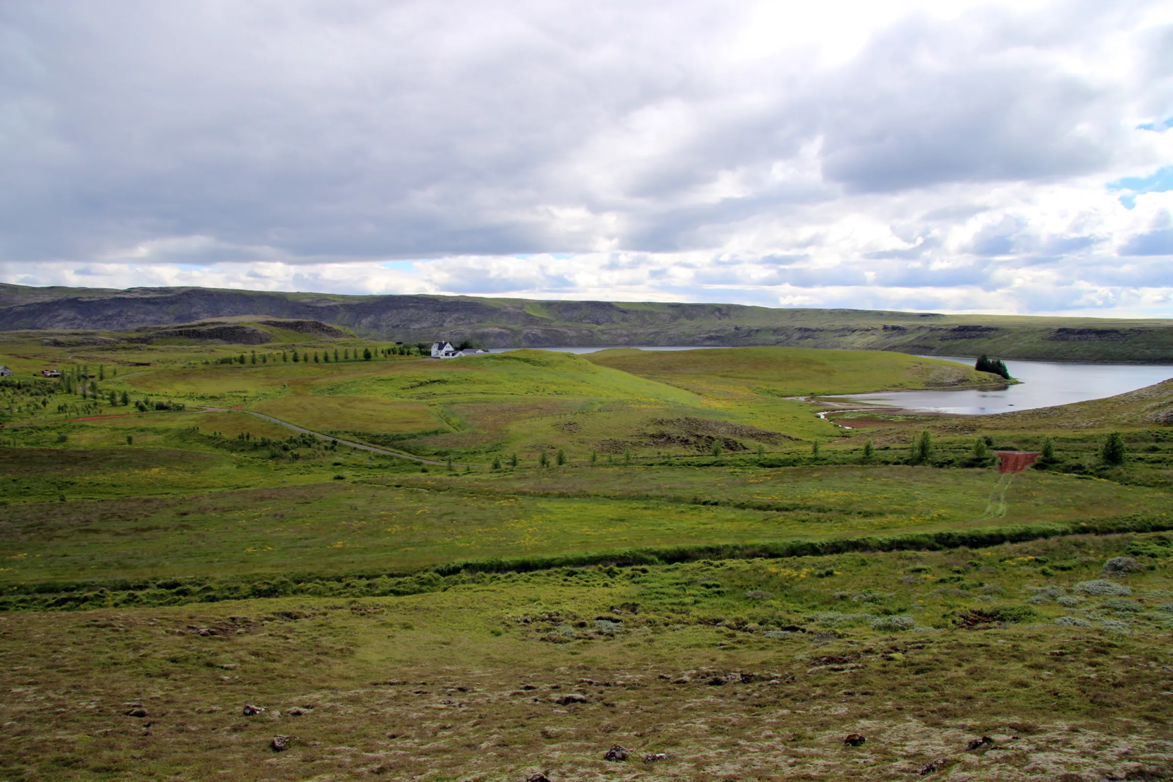 Meadows and lakes across the estate